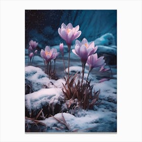 Beautiful Winter Flowers 43 Canvas Print