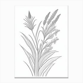 Psyllium Herb William Morris Inspired Line Drawing 2 Canvas Print
