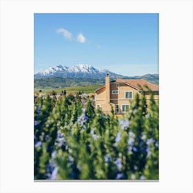 View Of The Mountains Canvas Print