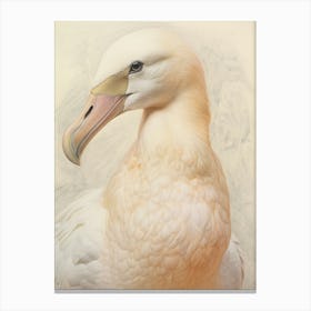 Vintage Bird Drawing Albatross 3 Canvas Print