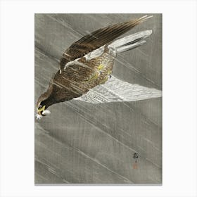 Downward Flying Eagle (1900 1930), Ohara Koson Canvas Print