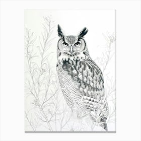 Verreauxs Eagle Owl Drawing 2 Canvas Print