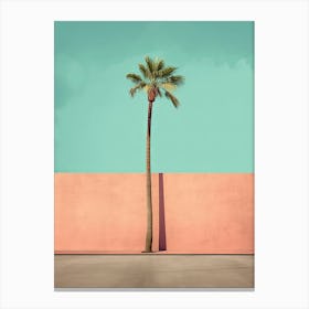 Palm Tree Against Pink Wall And Blue Sky Summer Photography Canvas Print