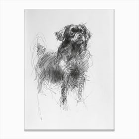 Tibetan Spaniel Dog Charcoal Line 1 Canvas Print
