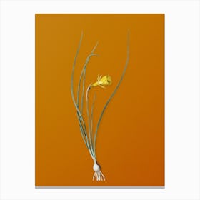 Vintage Daffodil Botanical on Sunset Orange n.0920 Canvas Print