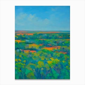 Kakadu National Park Australia Blue Oil Painting 2  Canvas Print