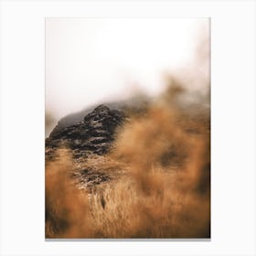 Foggy Morning In The Sonoran Desert 1 Canvas Print