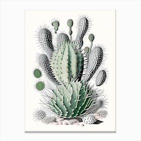 Parodia Cactus William Morris Inspired 1 Canvas Print