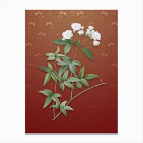 Vintage Lady Bank's Rose Botanical on Falu Red Pattern n.0513 Canvas Print