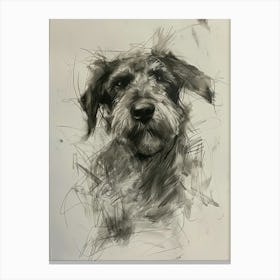 Otterhound Dog Charcoal Line 3 Canvas Print