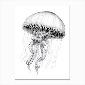 Sea Nettle Jellyfish Cartoon 2 Canvas Print