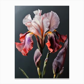 Iris art 1 Canvas Print