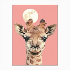 Giraffe 82 Canvas Print