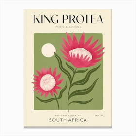 Vintage Green And Pink King Protea Flower Of South Africa 1 Canvas Print