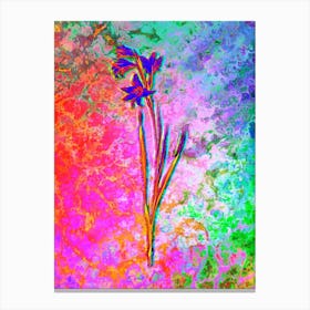 Painted Lady Botanical in Acid Neon Pink Green and Blue n.0317 Canvas Print