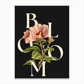 Bloom rose balck Canvas Print