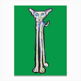 Long Cat Canvas Print