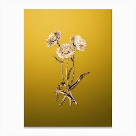 Gold Botanical Helichrysum Flower Branch on Mango Yellow n.1510 Canvas Print