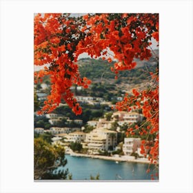 Bougainvillea Flowers Canvas Print