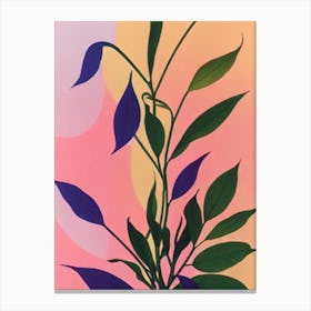 Maidenhair Vine Colourful Illustration Plant Canvas Print