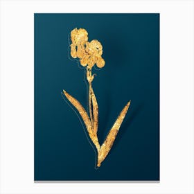 Vintage Tall Bearded Iris Botanical in Gold on Teal Blue n.0118 Canvas Print