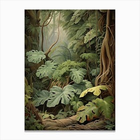 Vintage Jungle Botanical Illustration Philodendron 3 Canvas Print
