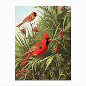 Northern Cardinal Haeckel Style Vintage Illustration Bird Canvas Print