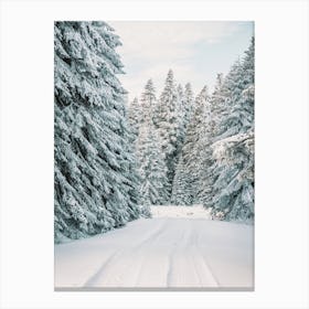 Snowmobile Trail Through Forest Canvas Print