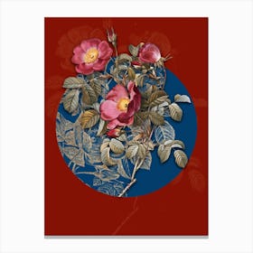 Vintage Botanical Rose of Love Bloom on Circle Blue on Red n.0257 Canvas Print