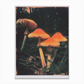 Mushrooms Retro Photo Inspired 1 Canvas Print