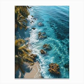 Aerial View Of A Tropical Beach Canvas Print