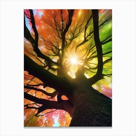 Tree Trunk, Sun, natture, autumn, colorful Canvas Print