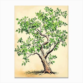 Lime Tree Storybook Illustration 3 Canvas Print