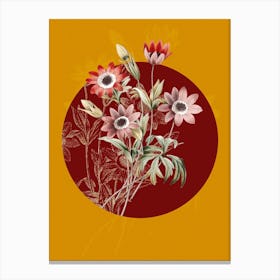 Vintage Botanical Broad Leaved Anemone Anemone Stellata on Circle Red on Yellow n.0057 Canvas Print