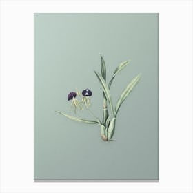 Vintage Clamshell Orchid Botanical Art on Mint Green n.0872 Canvas Print