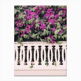 Spanish Garden Canvas Print