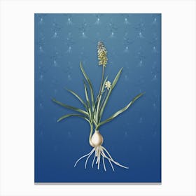 Vintage Muscari Ambrosiacum Botanical on Bahama Blue Pattern n.2291 Canvas Print