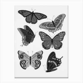 Texas Butterflies   Black And White Canvas Print