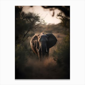 Elephant In The Bush Canvas Print