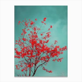 Red Tree Against Blue Sky 2 Canvas Print