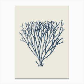 Seaweed in Blue, Beach Decor, Minimalist Coastal Art Canvas Print