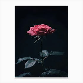 Dark Rose 3 Canvas Print