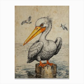 Pelican 8 Canvas Print