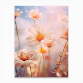 Daisies Canvas Print