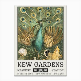 Kew Gardens Peacock Canvas Print
