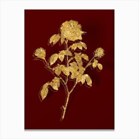 Vintage Agatha Rose in Bloom Botanical in Gold on Red n.0231 Canvas Print