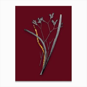Vintage Anigozanthos Flavida Black and White Gold Leaf Floral Art on Burgundy Red n.0078 Canvas Print