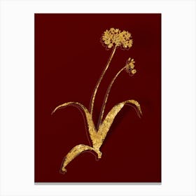 Vintage Spring Garlic Botanical in Gold on Red Canvas Print