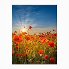 Gorgeous Sunset In A Poppy Field 1 Canvas Print