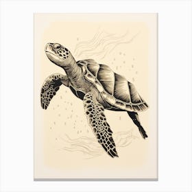 Sepia Vintage Drawing Of Sea Turtle Canvas Print